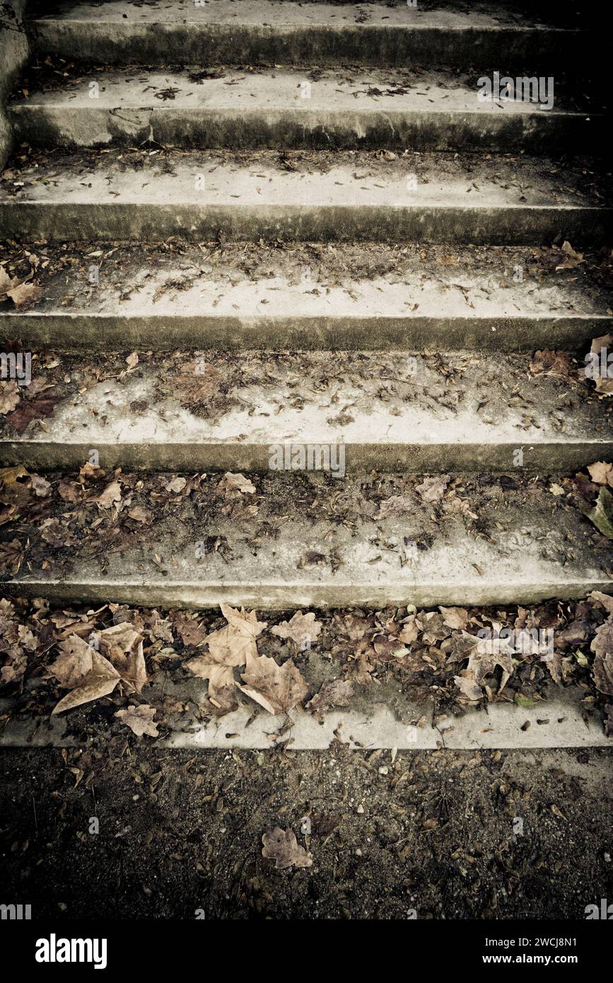 Vecchia scala di pietra Foto Stock