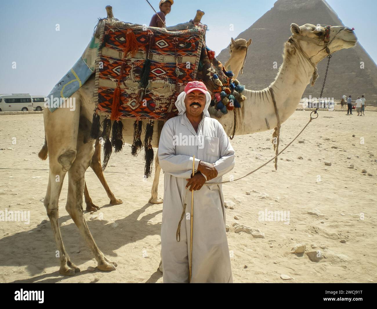 L'autista di cammelli con cammelli nella località turistica di Giza il Cairo in Egitto. Beduino arabo in abito tradizionale bianco e hijab che prende il suo cammello per la corsa wi Foto Stock