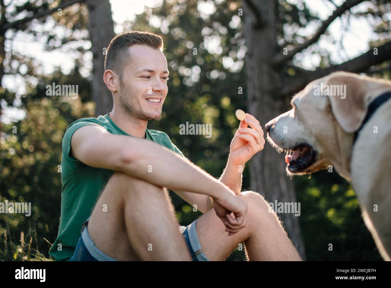 Ritratto di un uomo con un bel cane seduto in erba sotto gli alberi. Felice proprietario del labrador retriever che riposa nella natura nelle soleggiate giornate estive. Foto Stock