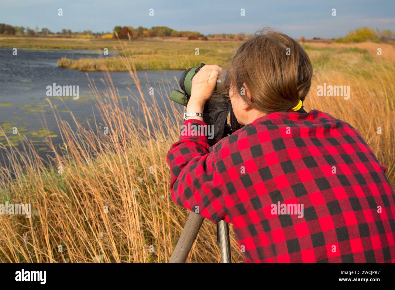 Birding, Crex Prati Area faunistica, Wisconsin Foto Stock