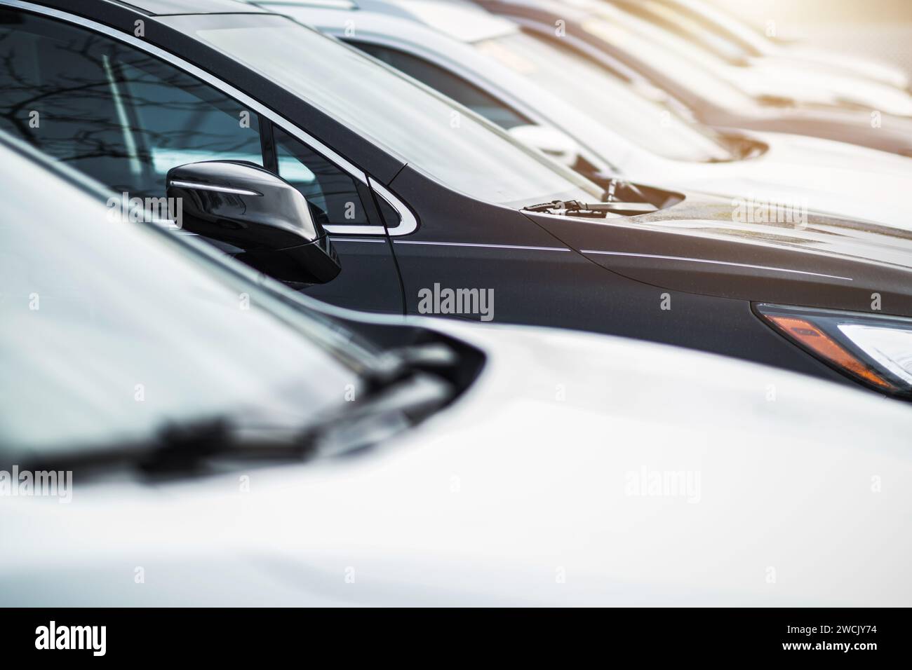 Tema veicoli nuovi e usati in stock presso la concessionaria per il settore automobilistico. Foto Stock