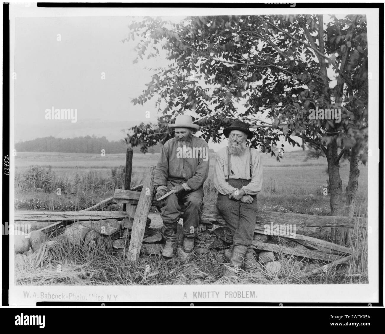 Un problema di nodosi - W.A. Babcock foto, Utica NY. Foto Stock