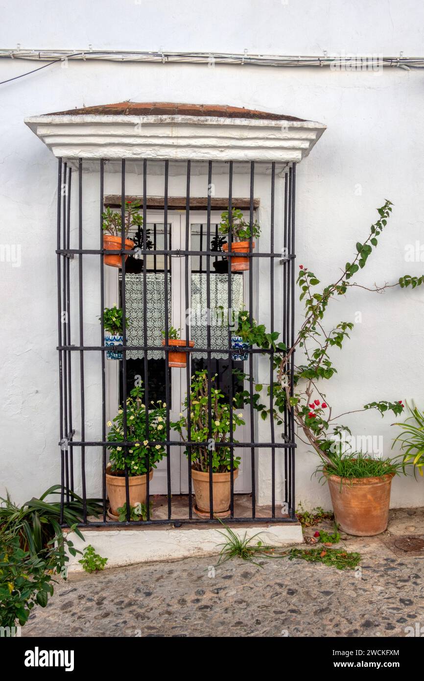 Tradizionale balcone rurale decorato con vasi di fiori. Tipica finestra della città andalusa. Cultura spagnola. Vita rurale Foto Stock