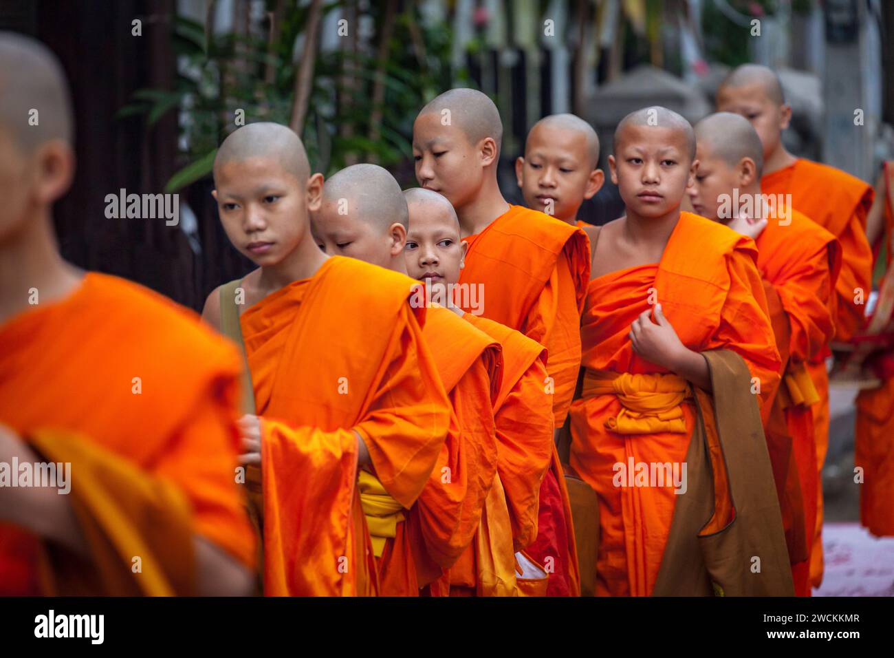 Rituale mattutino di elemosina (Sai Bat) a una processione di monaci, Luang Prabang, Laos Foto Stock