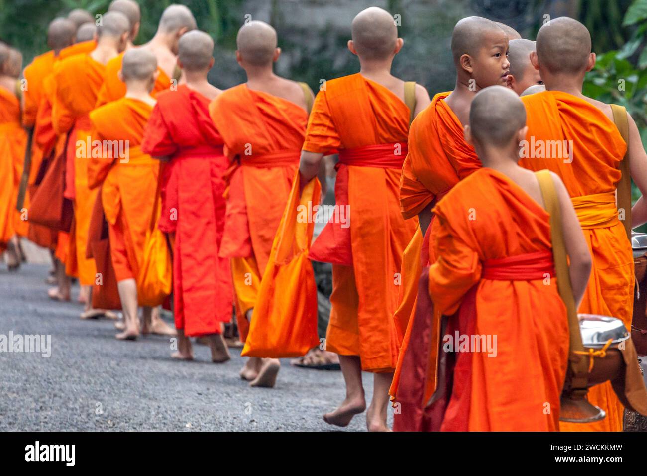 Rituale mattutino di elemosina (Sai Bat) a una processione di monaci, Luang Prabang, Laos Foto Stock