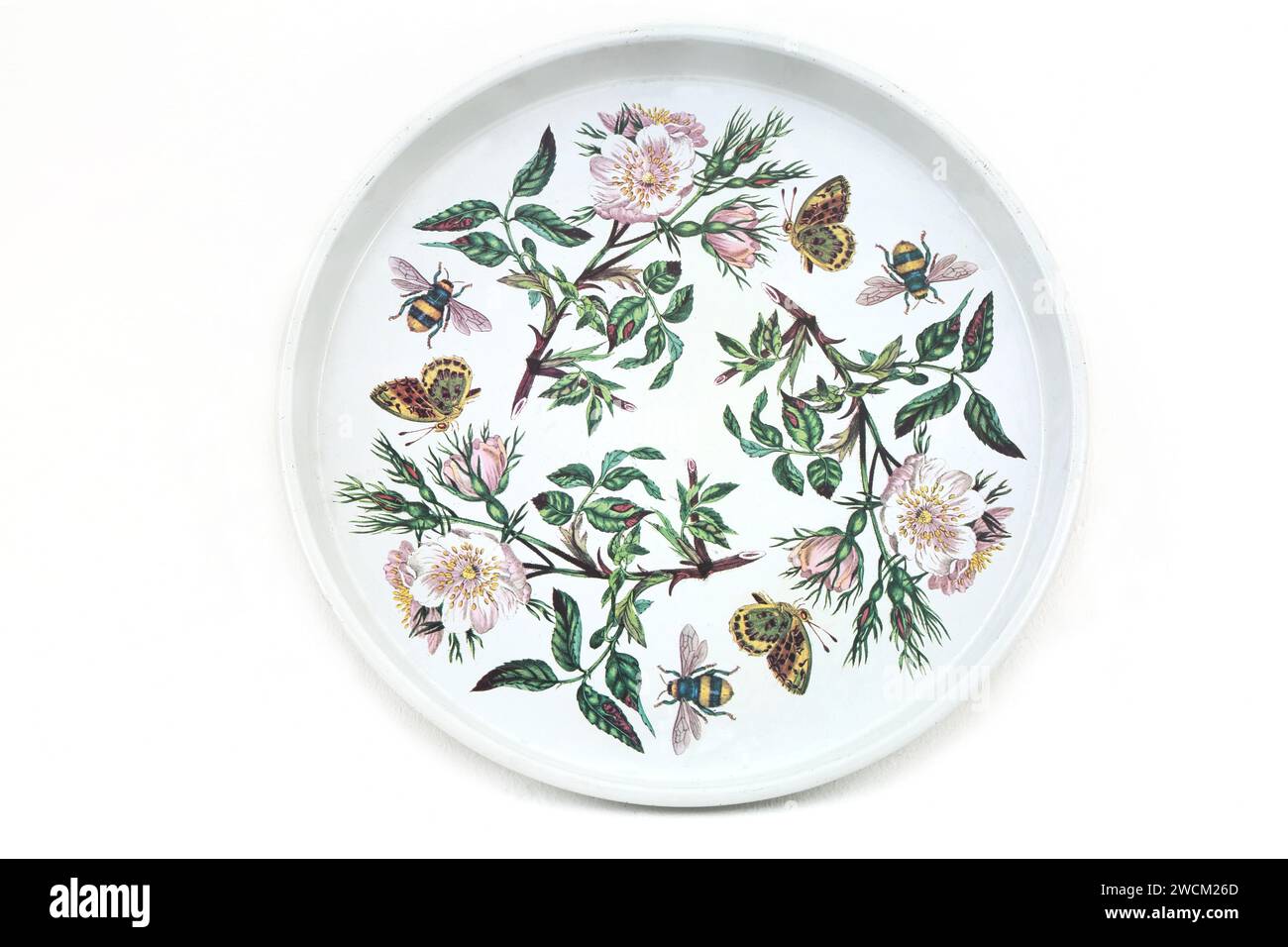 The Botanic Garden circa 1818 Portmeririon Susan Williams Ellis Design 1972 Metal Tray Foto Stock