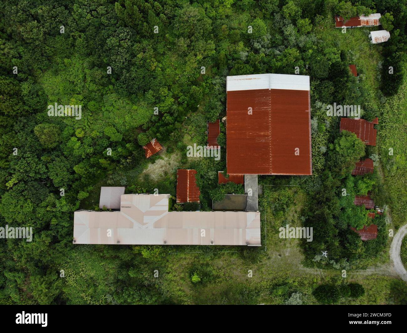 Complesso industriale abbandonato in mezzo alla foresta Foto Stock