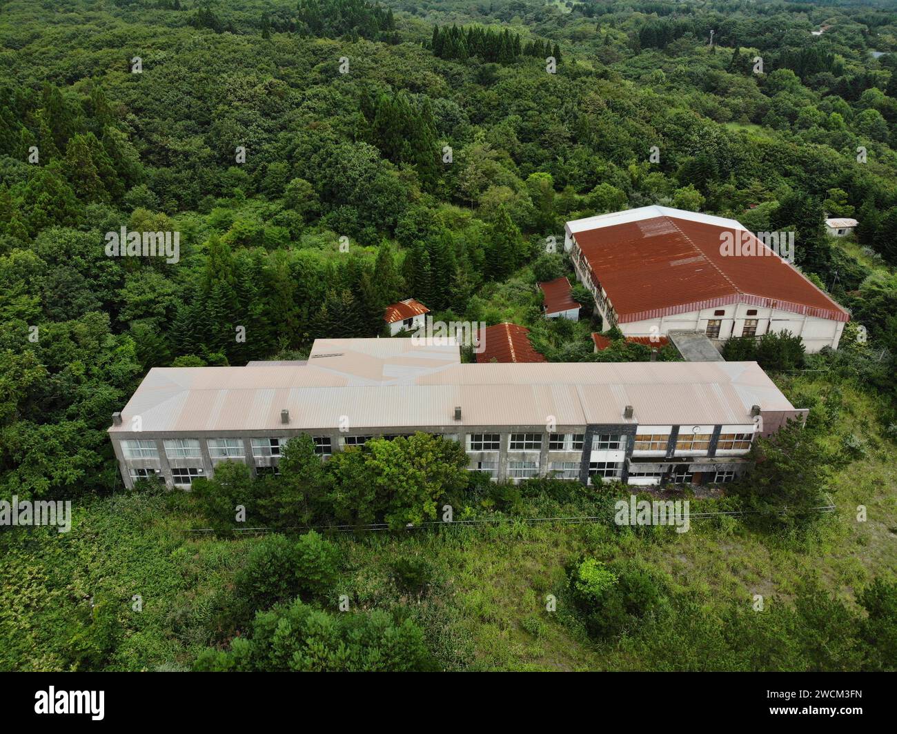 Complesso industriale abbandonato in mezzo alla foresta Foto Stock