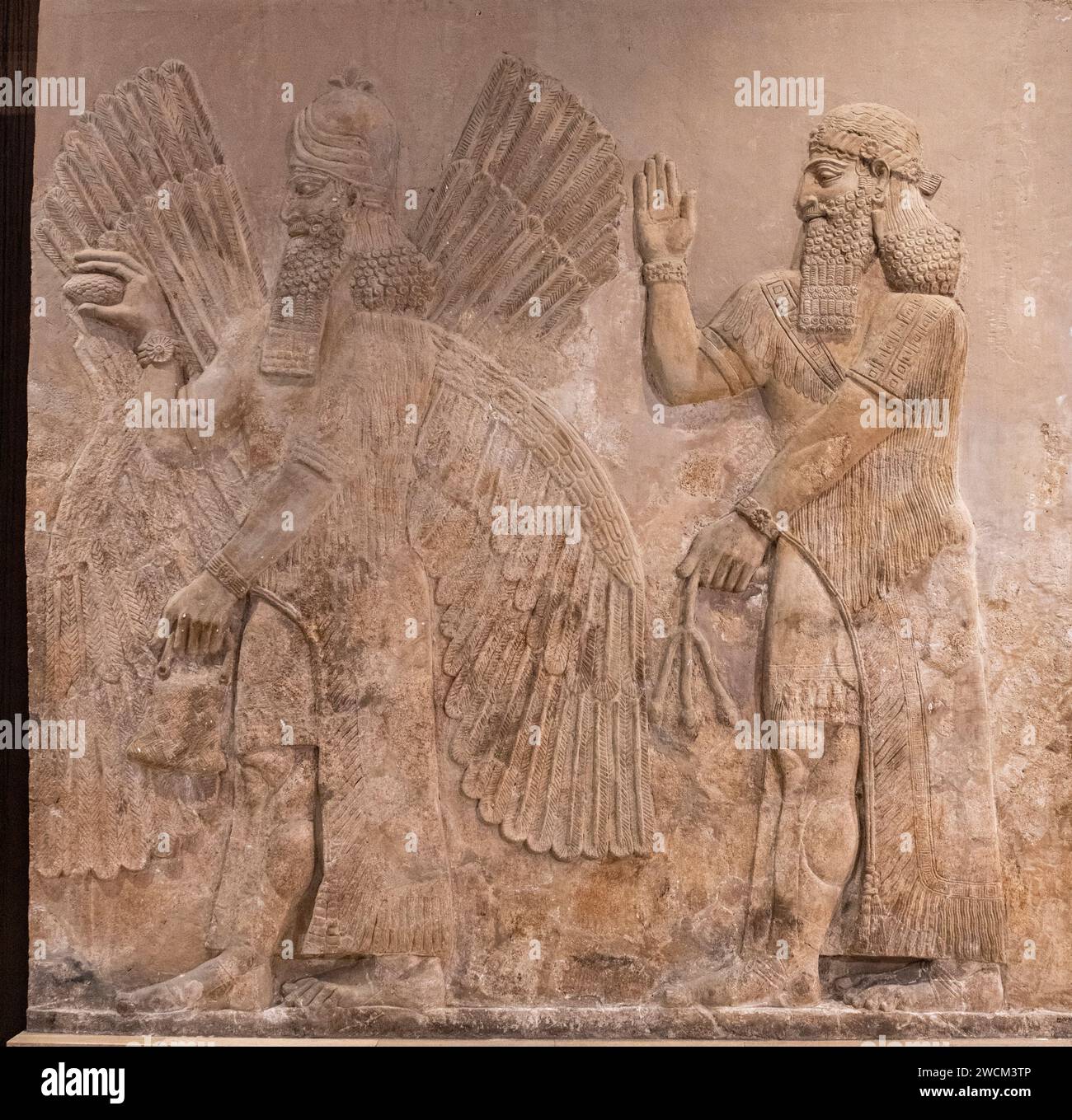 Rilievo in pietra intagliata della divinità alata dal palazzo assiro di Dur-Sharrukin; Khorsabad, Iraq, ora nel Museo dell'Iraq, Baghdad, Iraq Foto Stock