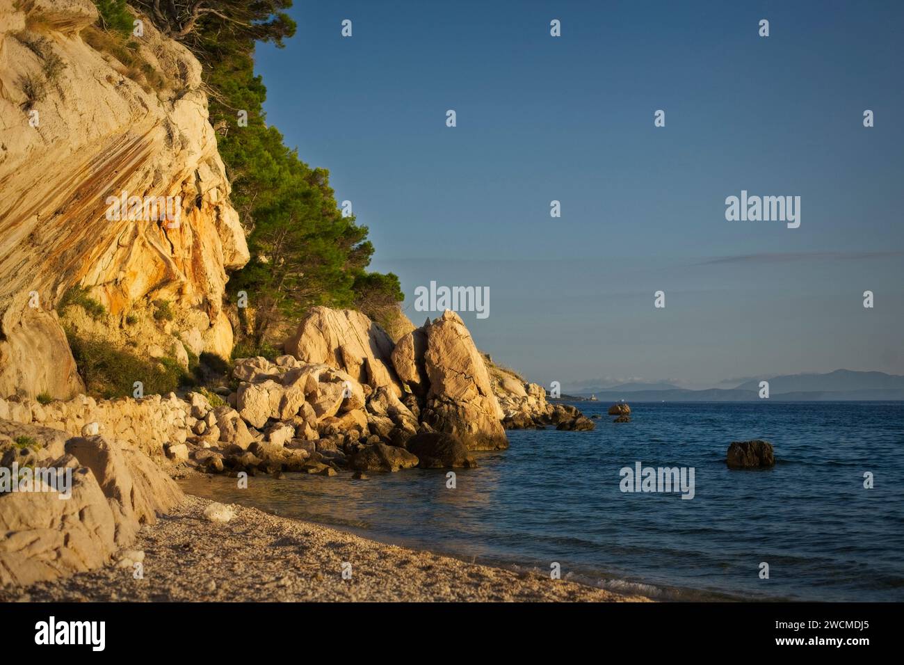 La luce del sole dorata bagna le scogliere rocciose e gli alberi di pino sulle rive acciottolate del mare Adriatico a Makarska, Croazia. Foto Stock