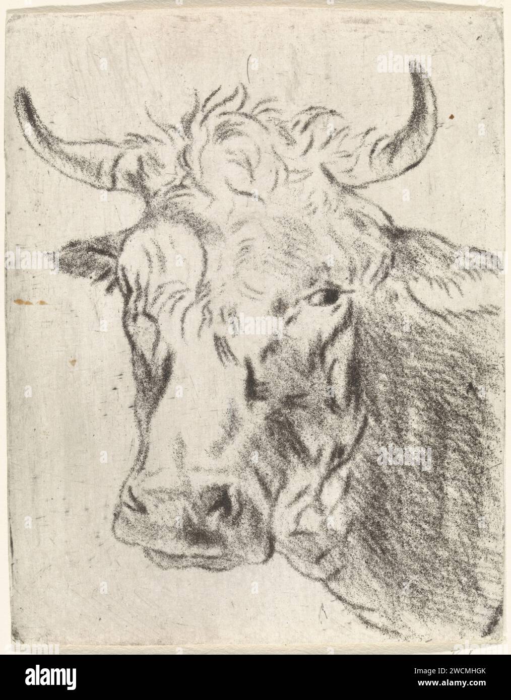 Ossenkop, a sinistra, Pieter Janson, 1780 - 1851 bue di carta stampata Foto Stock