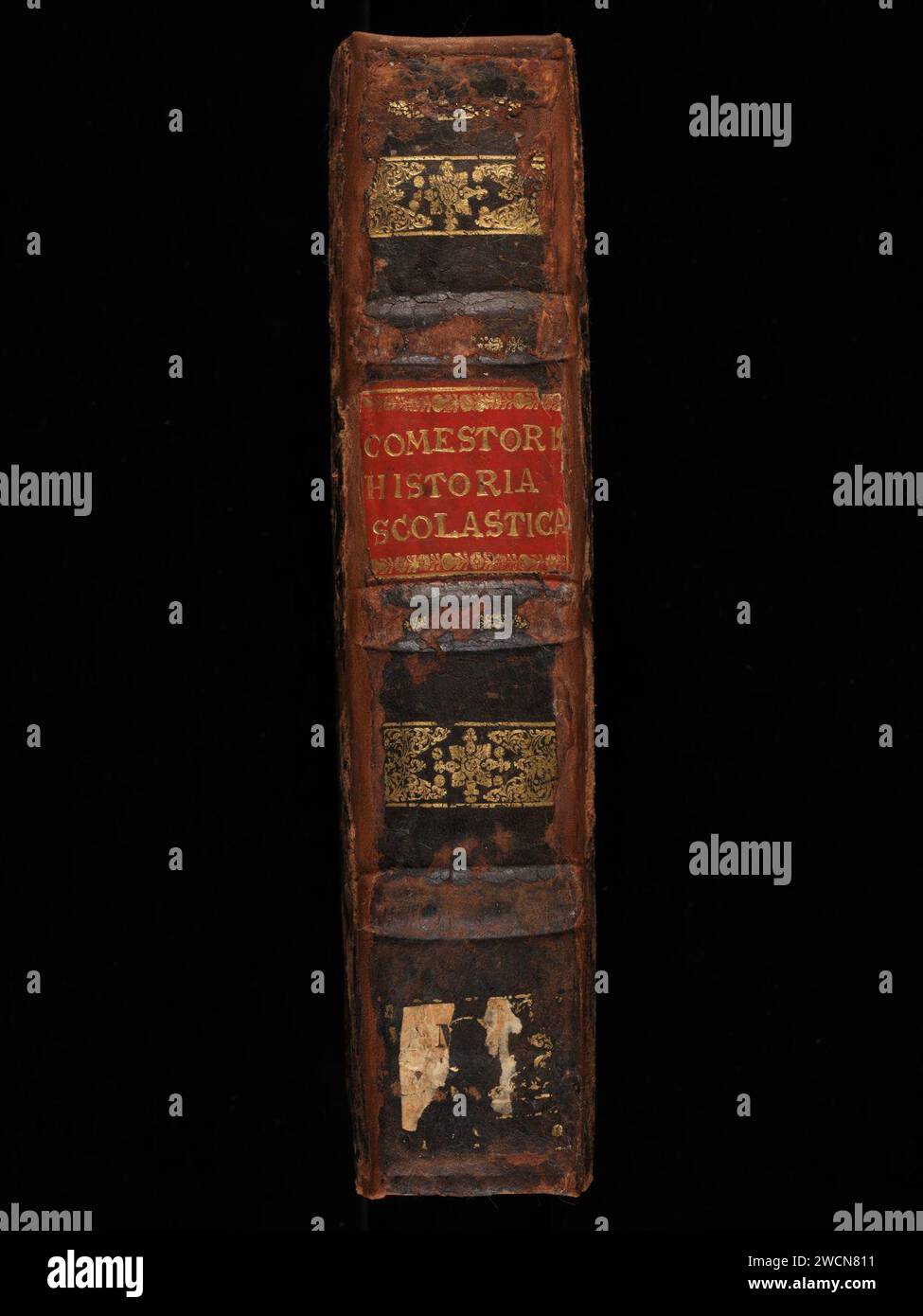 Aarau, Aargauer Kantonsbibliothek, MsWettF 9, spine – Petrus Comestor, Alexander de Villa dei, Petrus Pictaviensis. Foto Stock