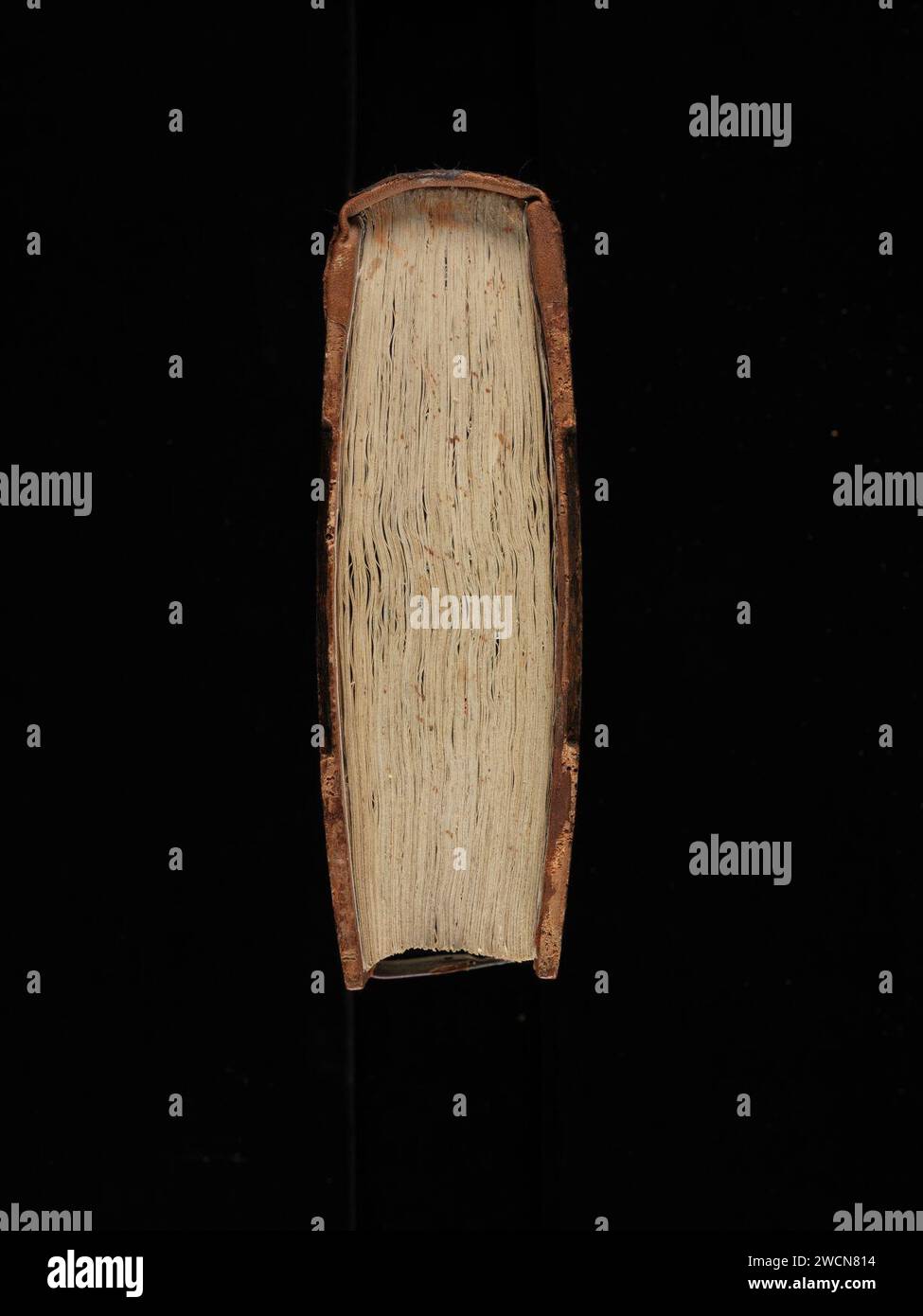 Aarau, Aargauer Kantonsbibliothek, MsWettF 9, Tail – Petrus Comestor, Alexander de Villa dei, Petrus Pictaviensis. Foto Stock