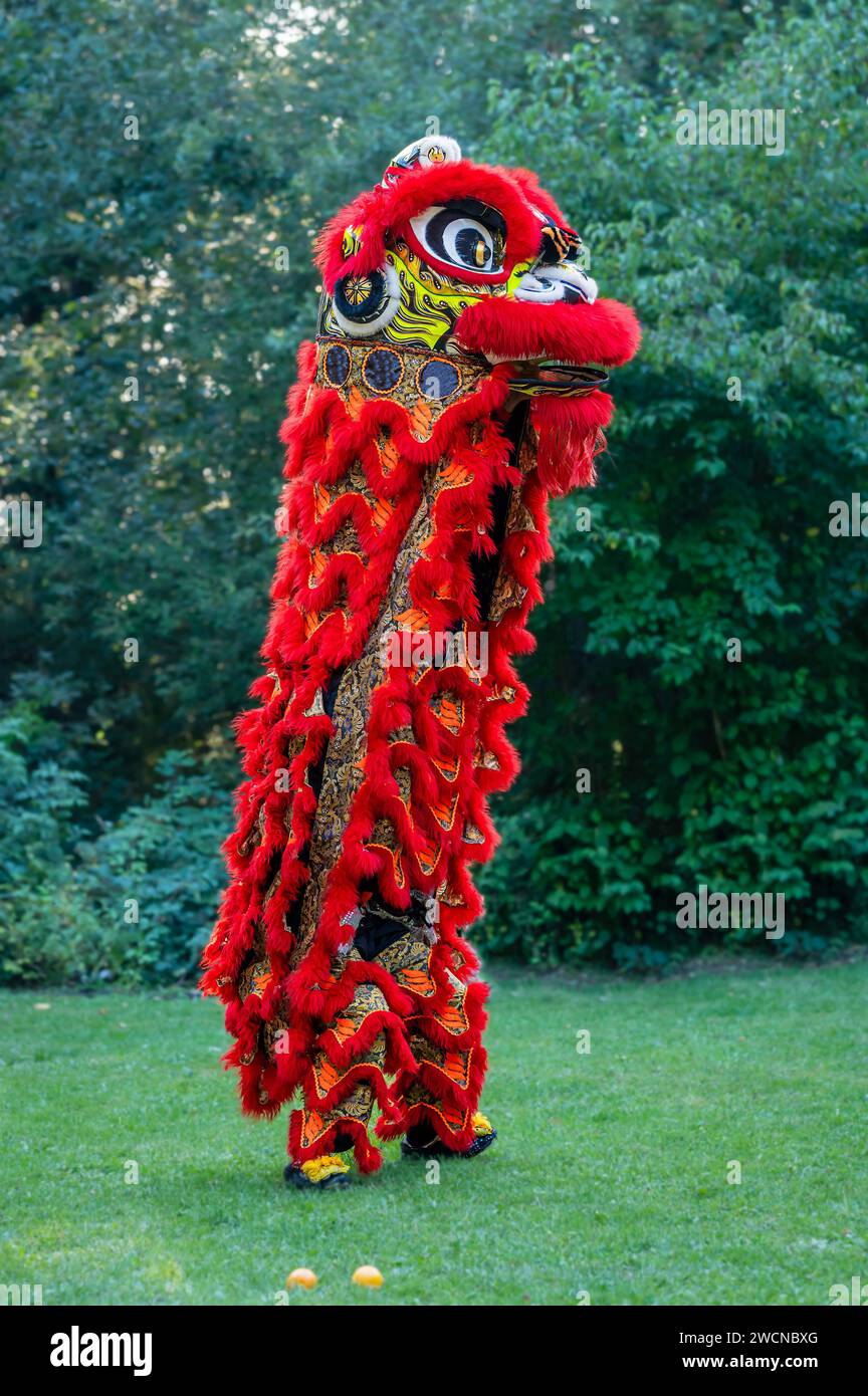 Danza tradizionale dei leoni. Un leone rosso. Festeggiamenti nel capodanno cinese. Foto Stock