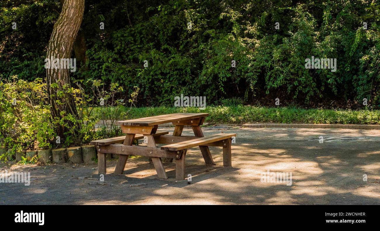 Tavolo da picnic in legno su marciapiede in cemento nel parco sotto l'albero all'ombra Foto Stock