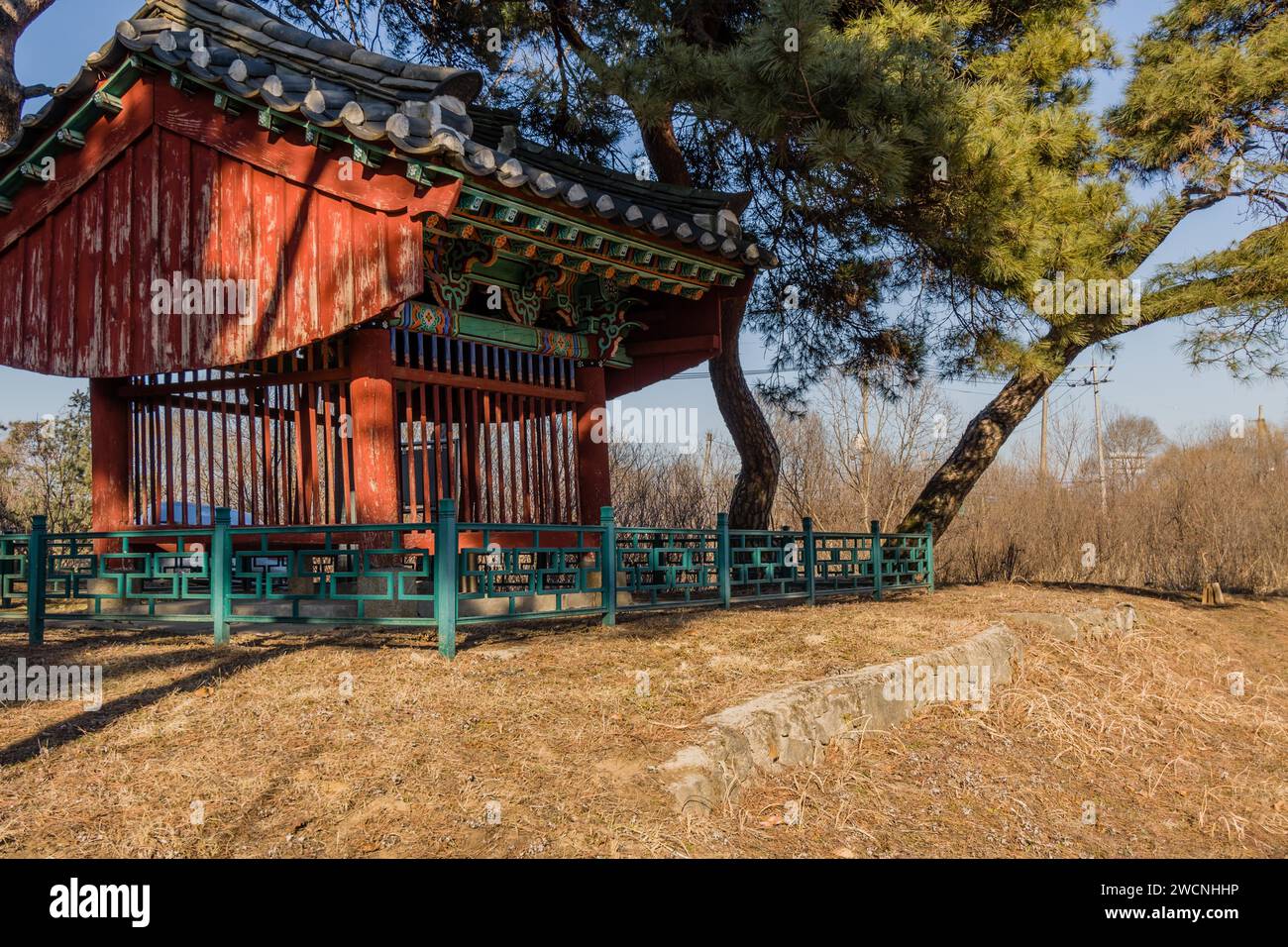 Padiglione coreano in colori tradizionali con colonna di legno e tetto piastrellato sotto un grande albero sempreverde in un soleggiato pomeriggio invernale in gennaio Foto Stock