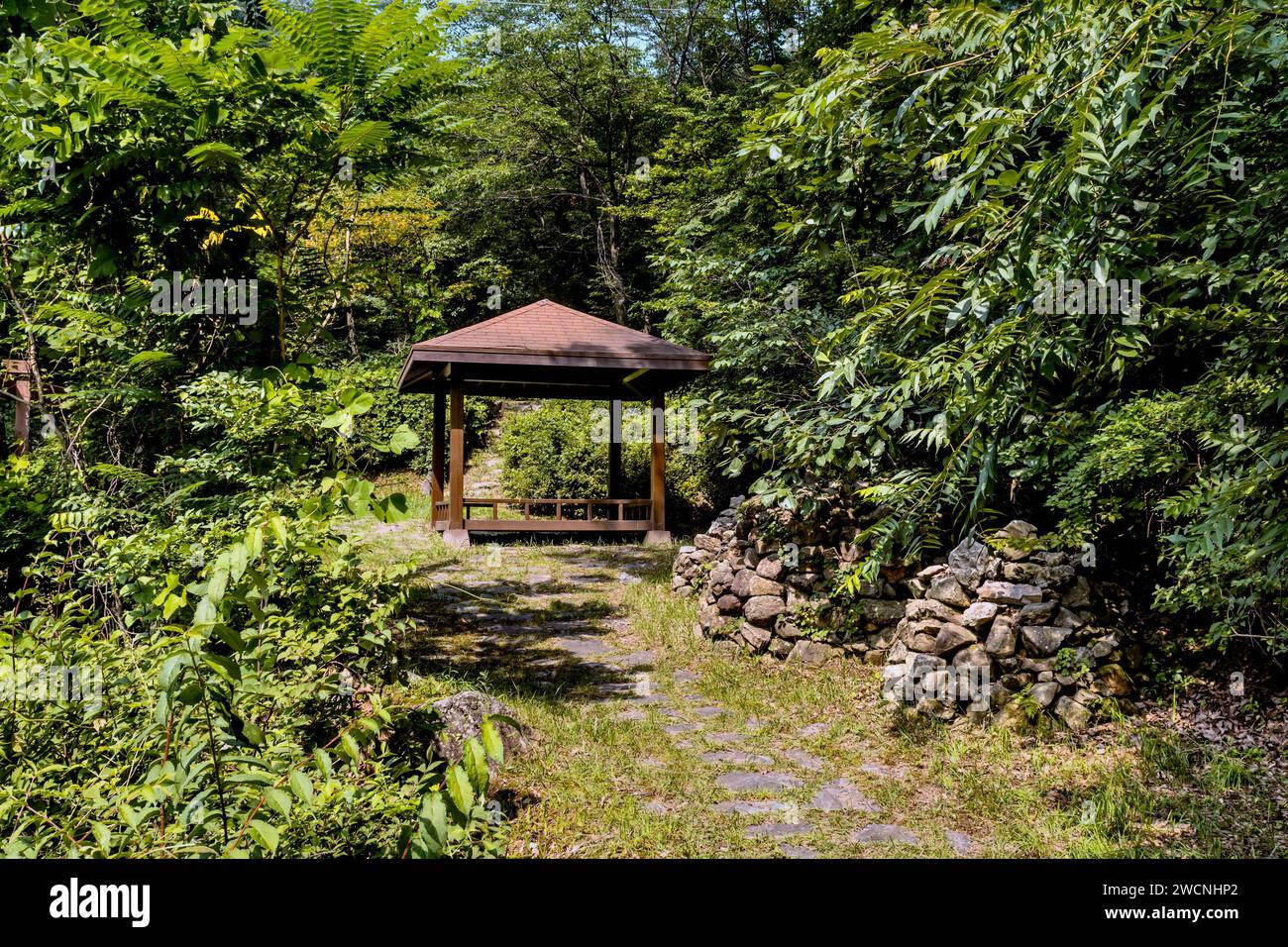 Gazebo in legno in radura sul sentiero escursionistico nel parco ricreativo della foresta nel pomeriggio soleggiato Foto Stock