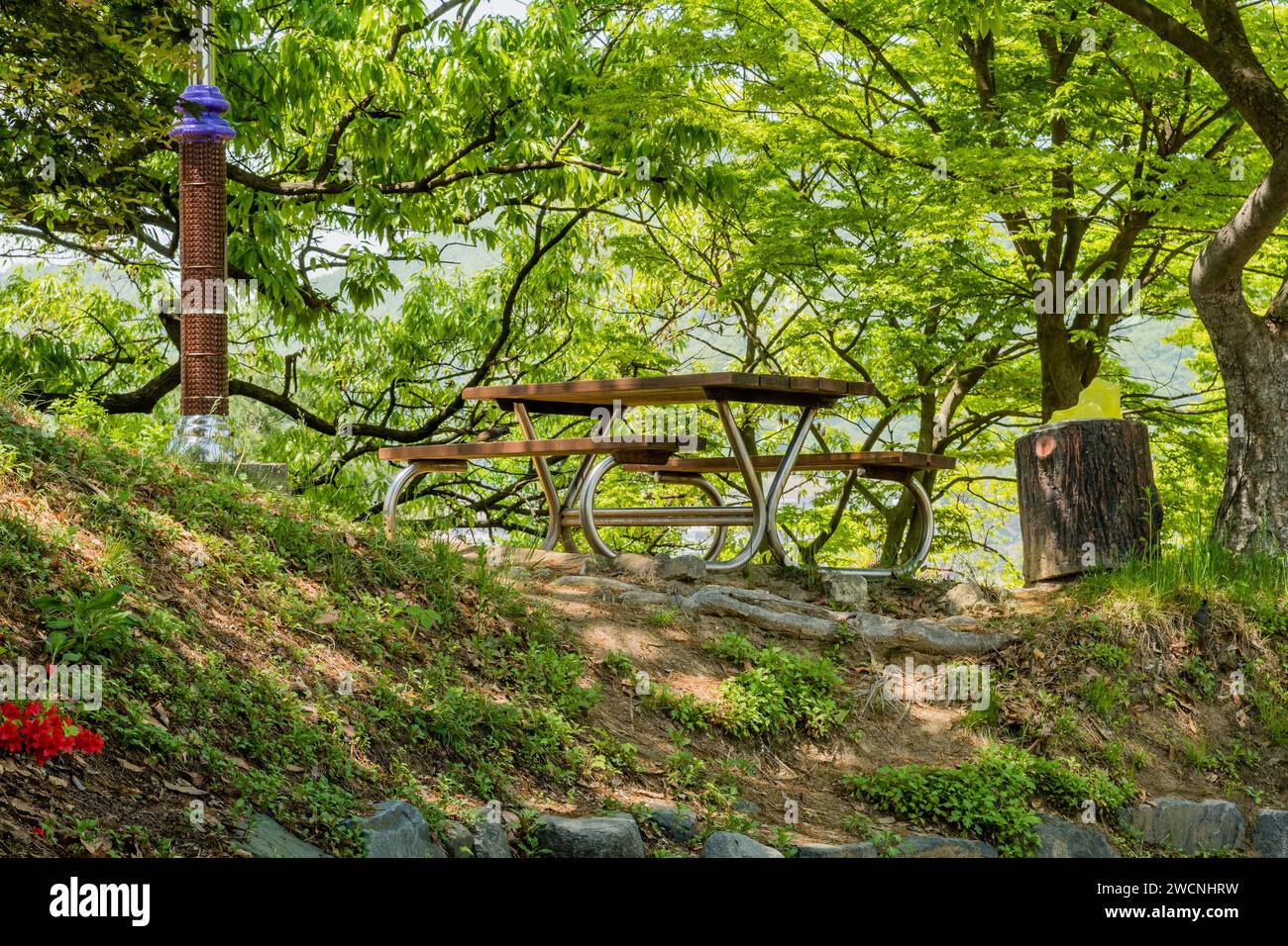 Tavolo da picnic in legno sotto rami di alberi nel parco pubblico Foto Stock