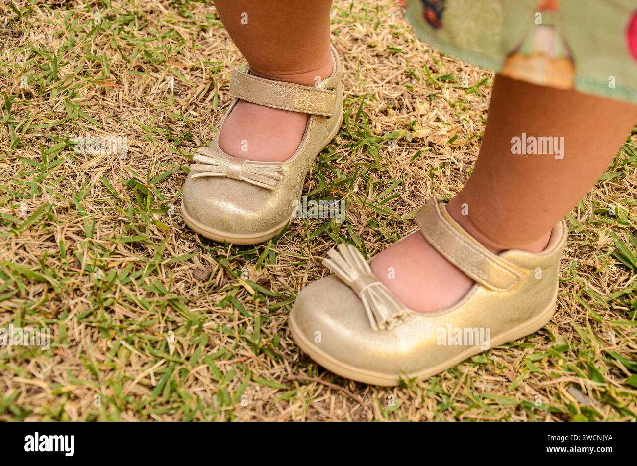 I piedi di una ragazza, che indossa una scarpa dorata, chiusa con velcro e un fiocco sul piede, stanno calpestando l'erba secca con delle foglie verdi. Foto Stock