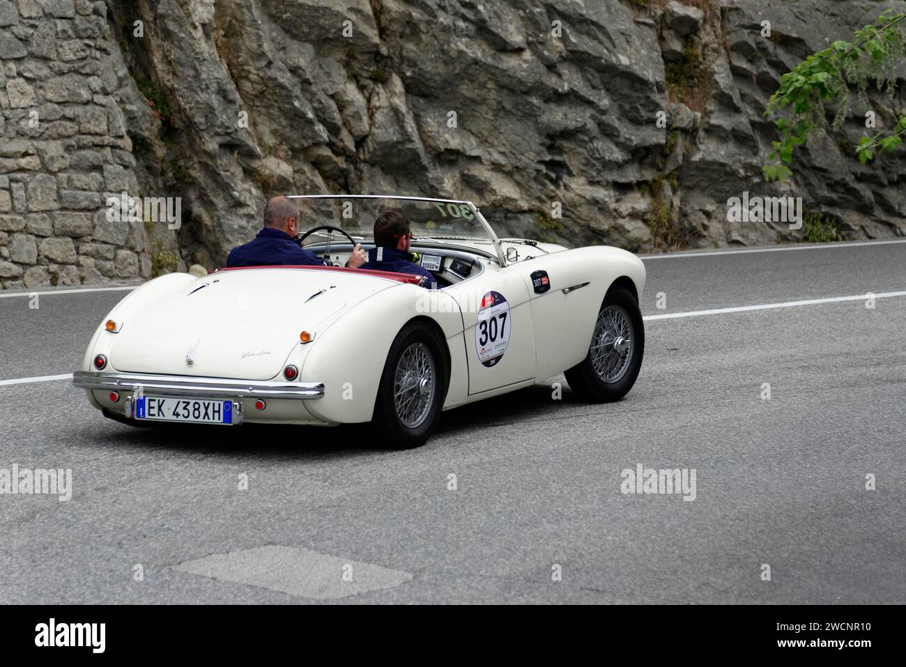 Mille miglia 2014 o 1000 miglia, No. 307, Austin Healey 100 4 BN1, costruito nel 1954, gare di auto d'epoca, San Marino, Italia Foto Stock