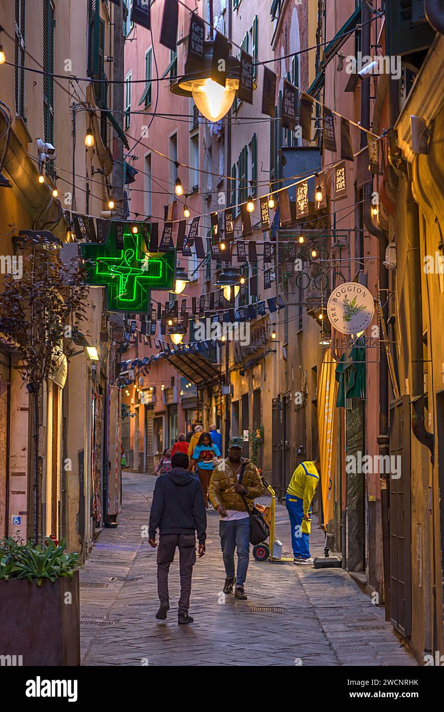 Vicolo della città vecchia di notte, Genova, Italia Foto Stock
