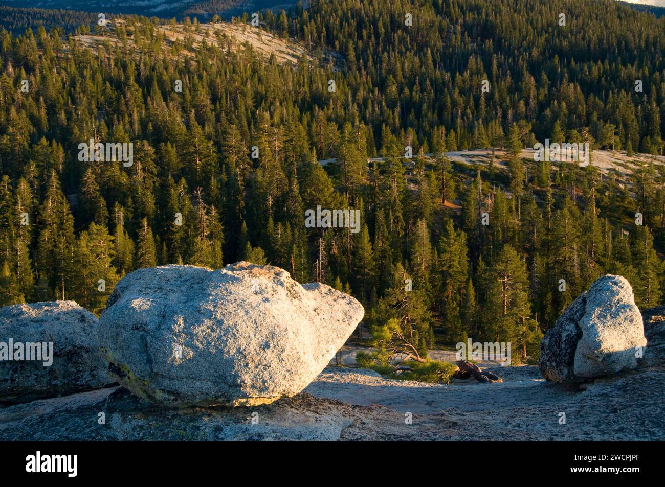 Boulder on Sentinel Dome, Yosemite National Park, California Foto Stock