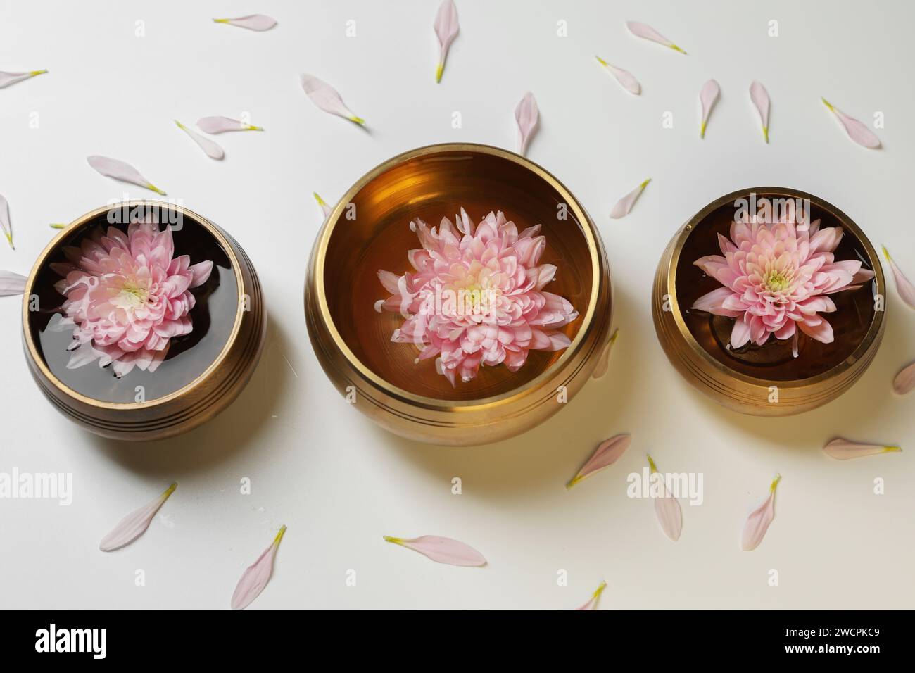 Ciotole tibetane con acqua e splendidi fiori di crisantemo su sfondo bianco, vista dall'alto Foto Stock