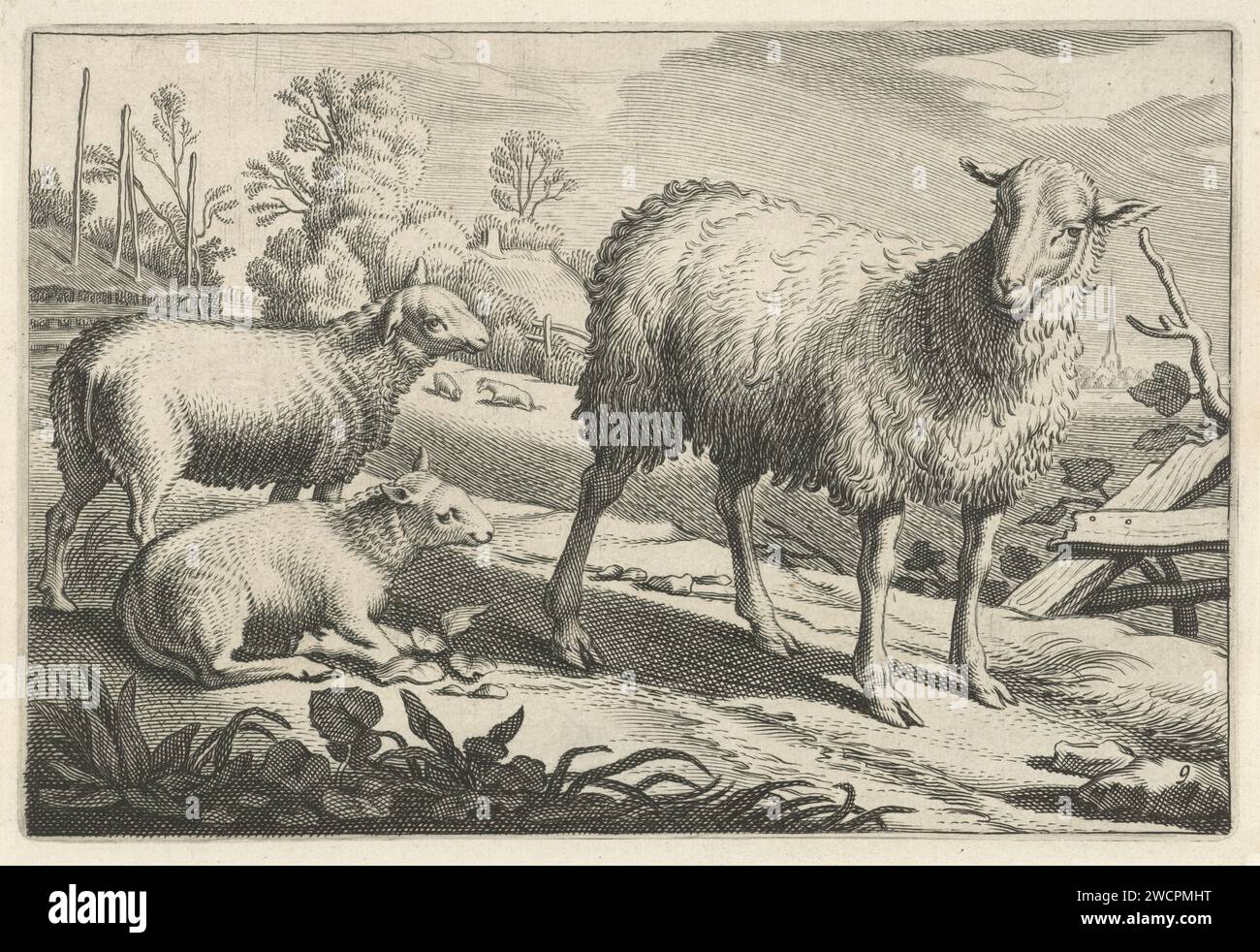 Pascolo con una pecora e due agnelli, Reinier van Persijn, dopo Jacob Gerritsz Cuyp, 1641 stampa del Nord Olanda carta incisione / incisione delle pecore. lamb. fattoria o casa solitaria nel paesaggio Foto Stock