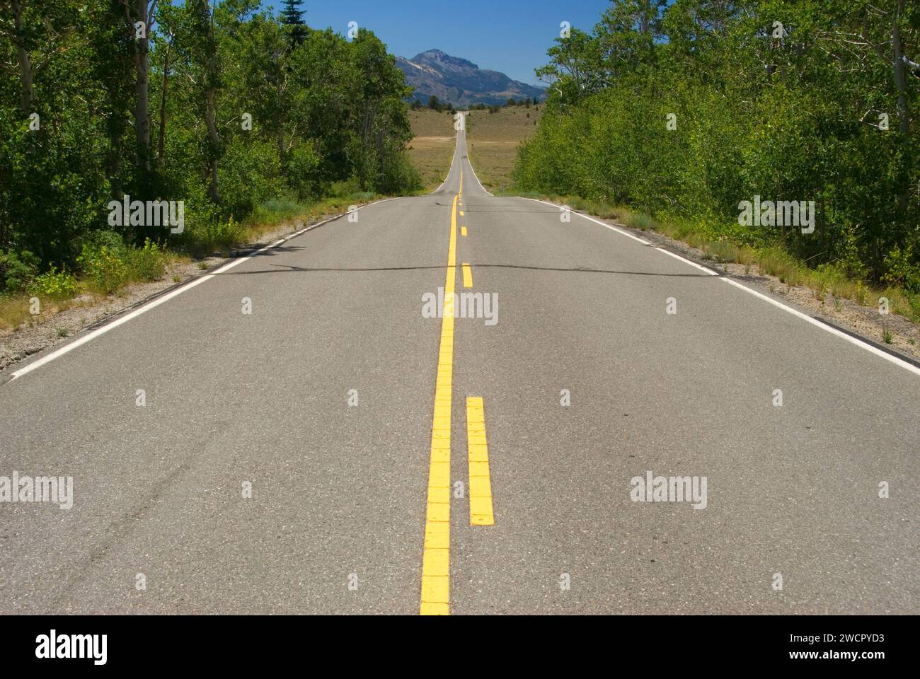 Autostrada CA 89 vicino al monitor Pass, Toiyabe National Forest, California Foto Stock