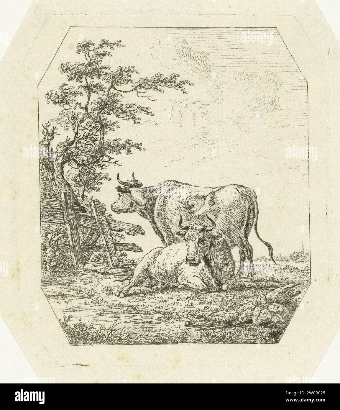 Due mucche vicino a una recinzione, Johannes van Cuylenburgh, 1803 - 1841 stampa Olanda carta da incidere mucca Foto Stock