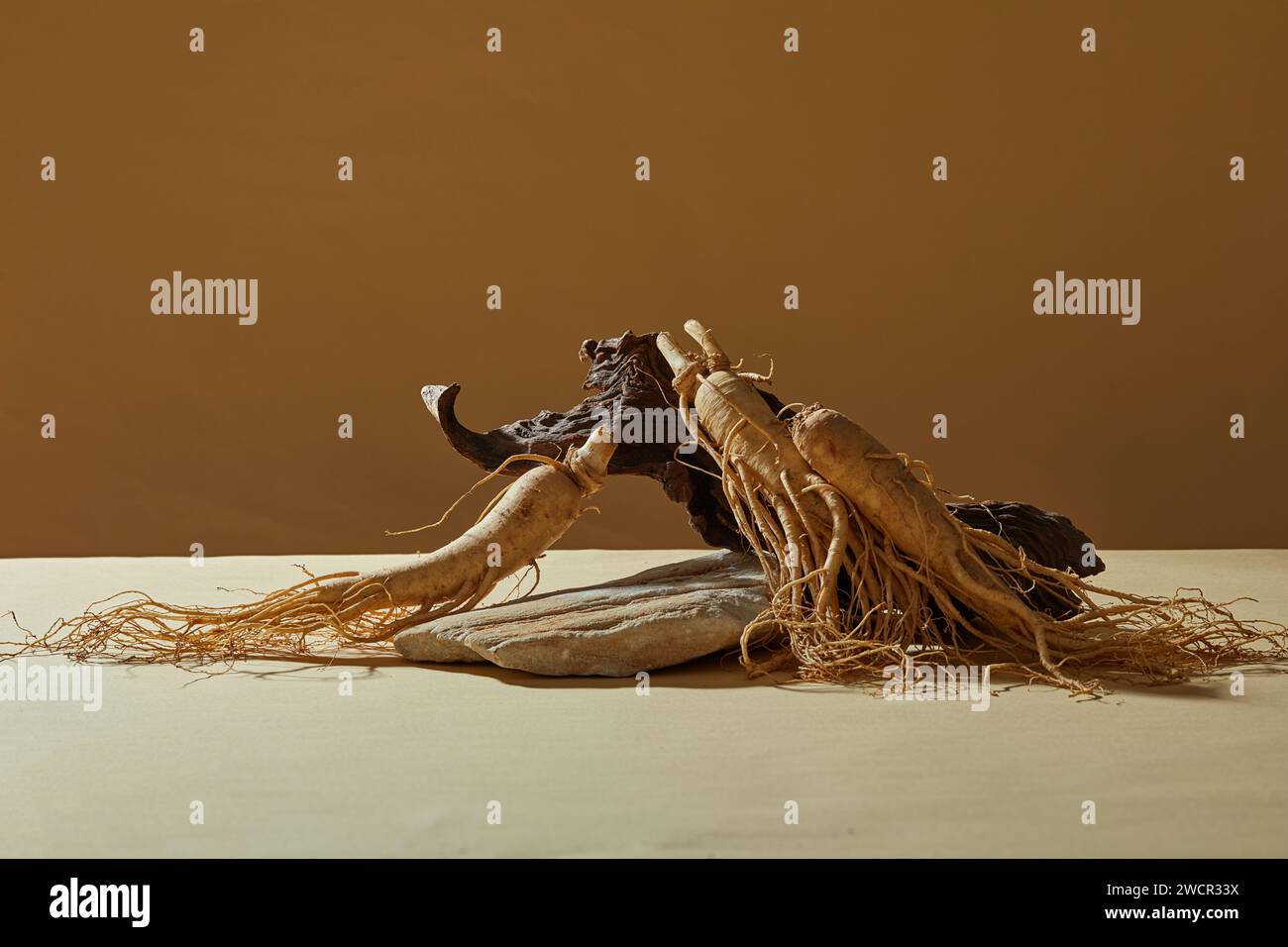 Alcune radici di ginseng sono decorate su sfondo marrone con un ramo d'albero. Un podio di pietra per la presentazione del prodotto estratto dal Ginseng (Pa Foto Stock