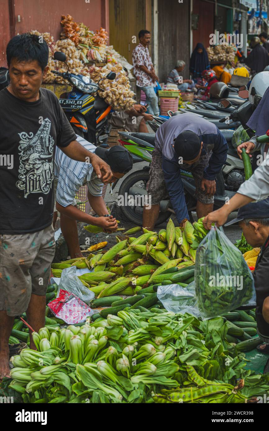 Balikpapan, Indonesia - 11 gennaio 2024. le verdure sono fresche della fattoria. Foto Stock