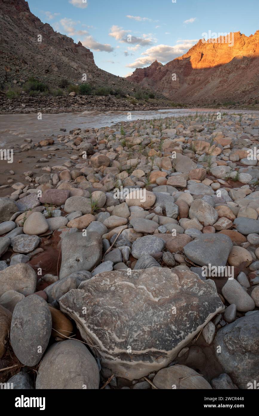 Fiume Colorado a Tilted Park, Cataract Canyon, Canyonlands National Park, Utah. Foto Stock