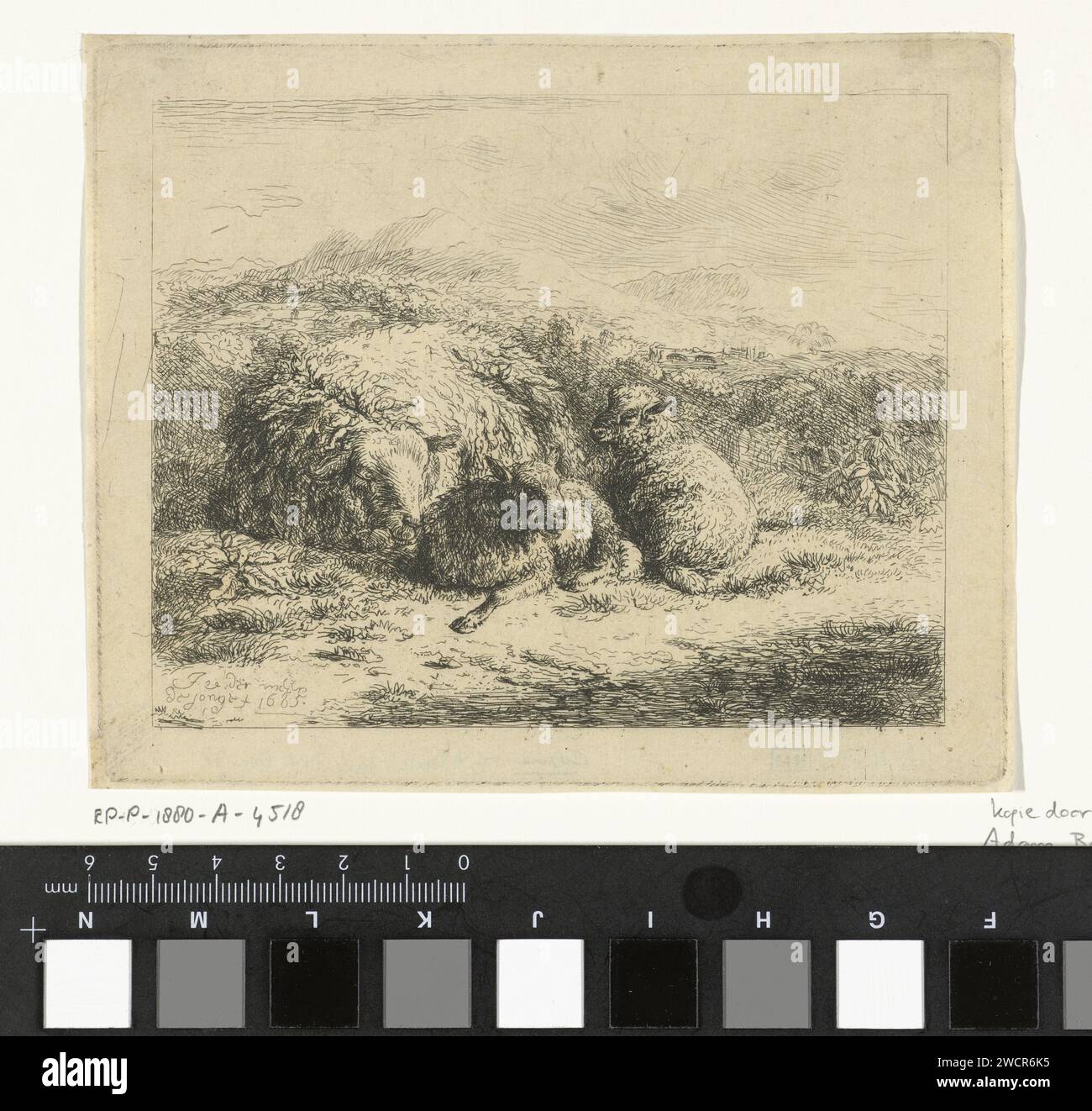 Pecore sdraiate con due agnelli, Adam von Bartsch, dopo Jan van der Meer (II), 1767 - 1821 stampa Una pecora addormentata in un paesaggio. Inoltre, due agnelli. Pecore di carta di Vienna Foto Stock