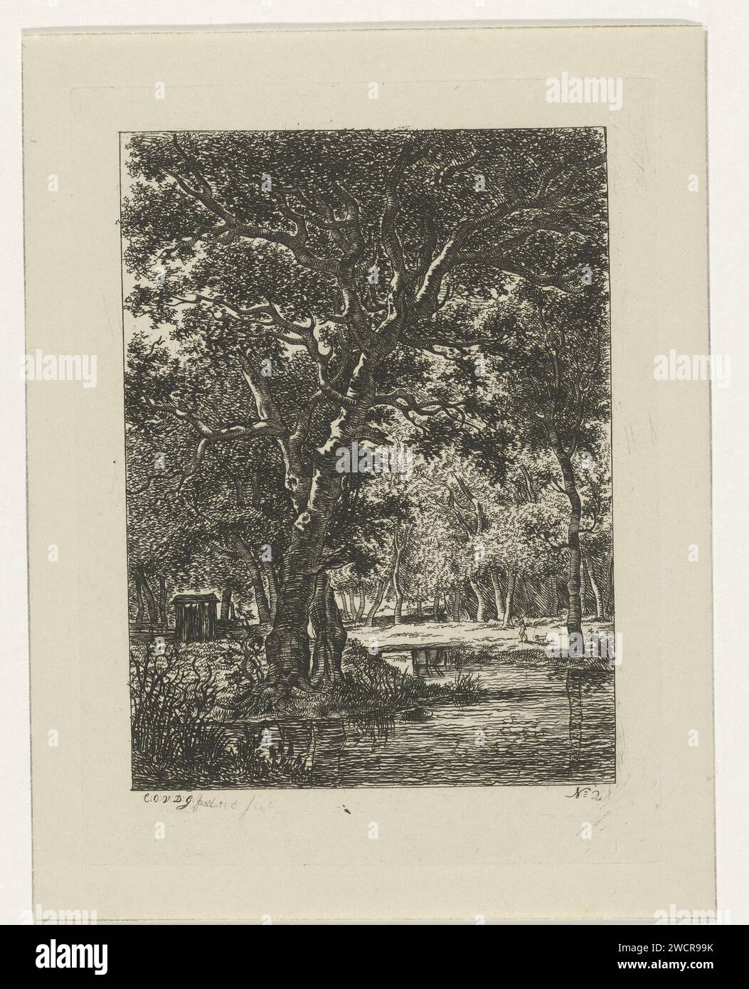 Bosgevicht, Cornelis Ouboter van der Griendt, 1807 - 1868 stampa fronte foresta con un fiume e una capanna sulla sinistra. foresta di incisione della carta, legno. river Foto Stock