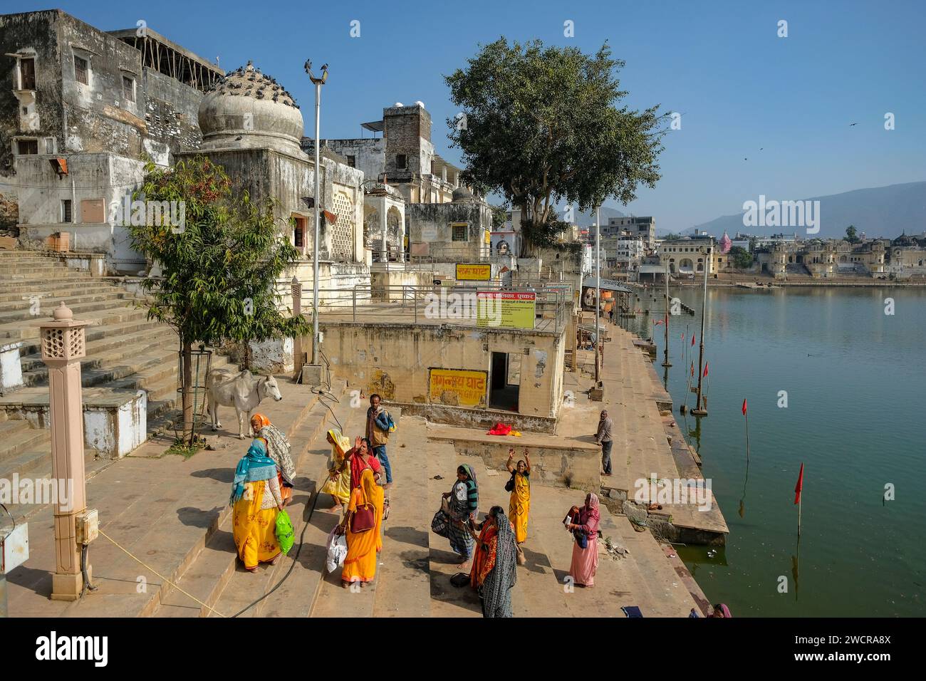 Pushkar, India - 4 gennaio 2024: Un gruppo di donne in un ghat sul lago Pushkar nel Rajasthan, India. Foto Stock