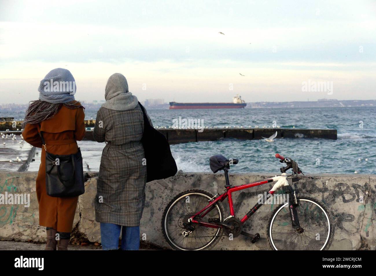 Non esclusiva: ODESA, UCRAINA - 15 GENNAIO 2024 - il corridoio di grano Ucraina nel Mar Nero ha raggiunto la capacità che aveva prima del pieno scal Foto Stock