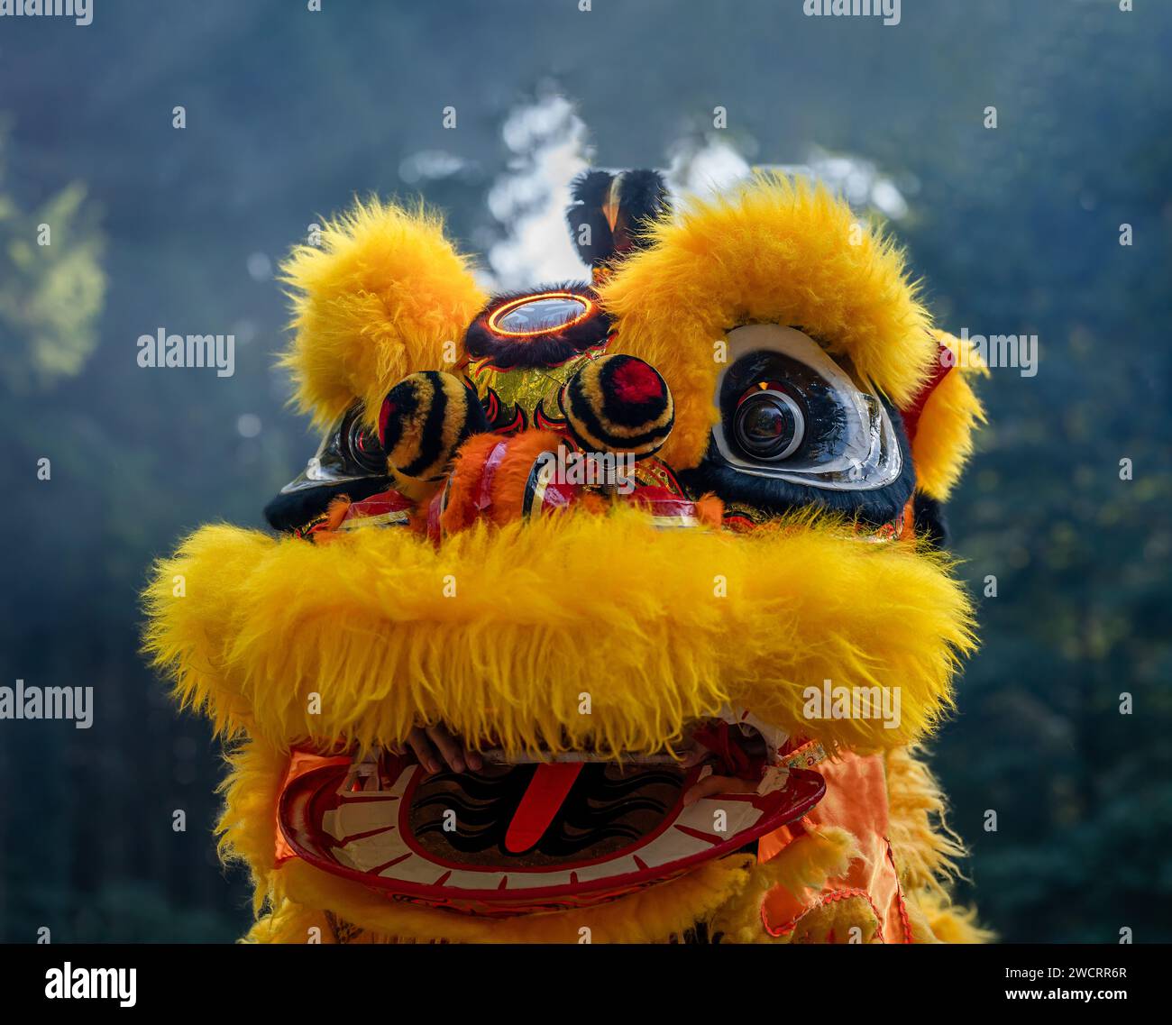 Danza tradizionale dei leoni. Primo piano di una maschera di leone giallo. Festeggiamenti nel capodanno cinese. Foto Stock