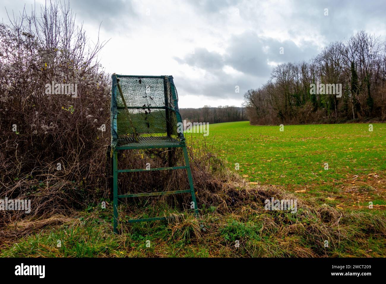 I cacciatori sono seduti in un prato nelle Ardenne francesi Foto Stock