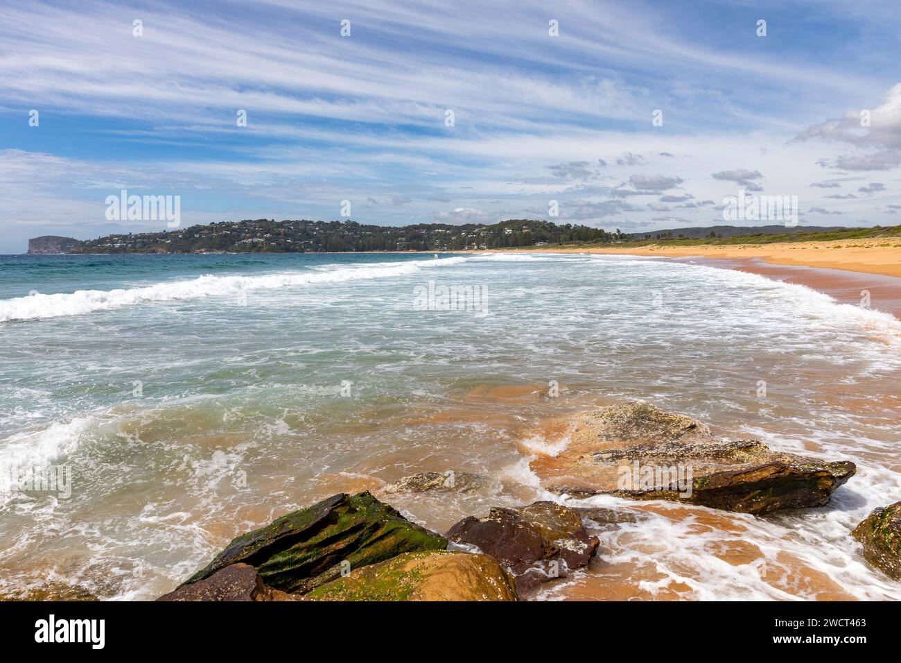 Estate australiana, Palm Beach a Sydney con sabbia dorata e cielo blu caldo, Australia, 2024 Foto Stock