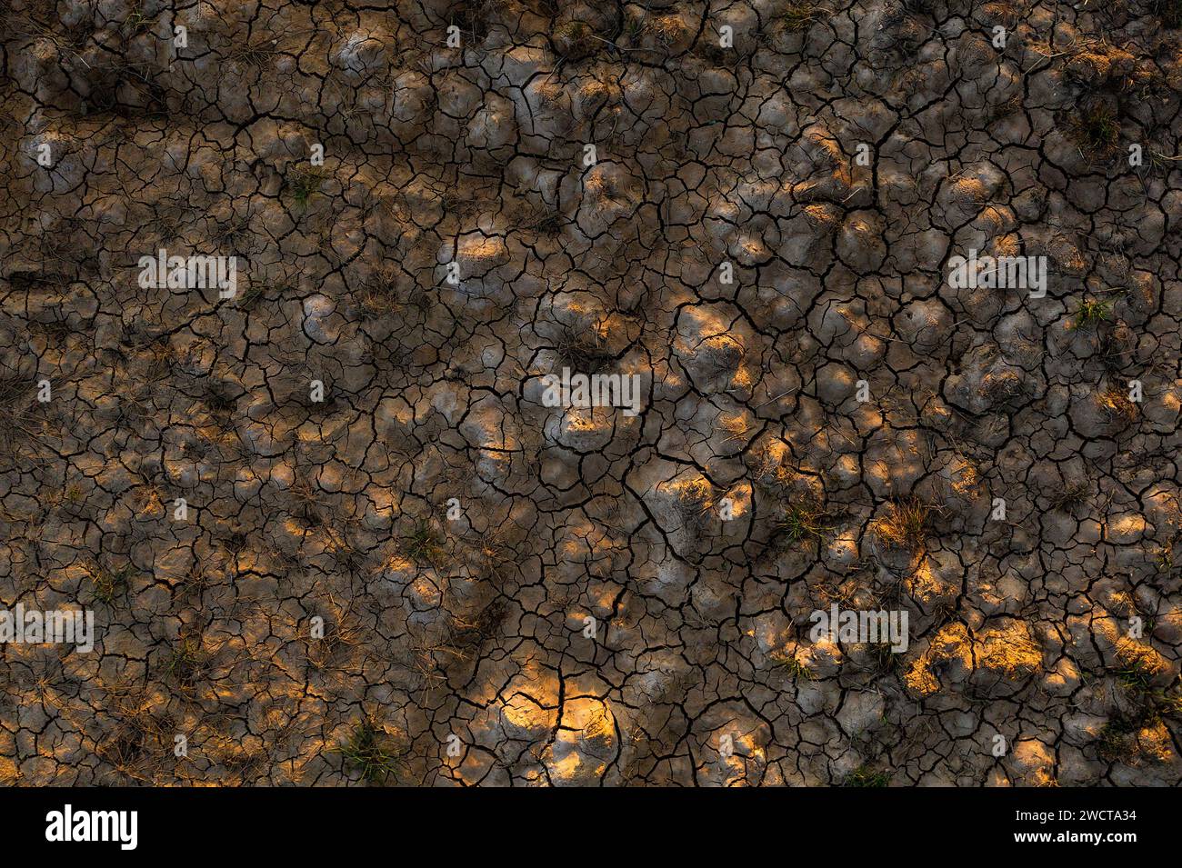 Vista aerea ravvicinata della terra incrinata con vegetazione sparsa sotto la calda luce di Alcarria Foto Stock