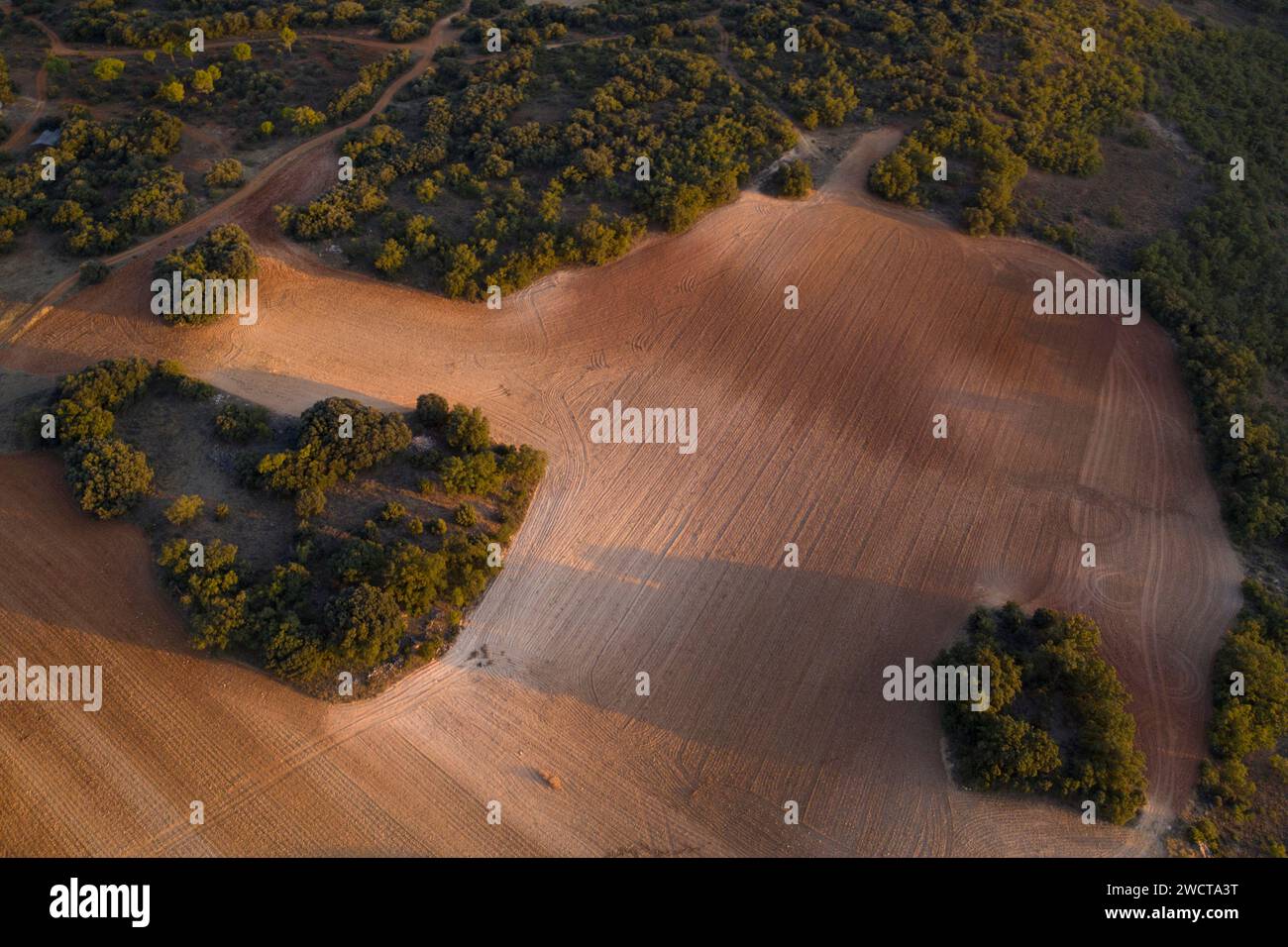 Vista aerea della tenue luce serale che proietta ombre sui campi arati e sugli alberi di Alcarria Foto Stock