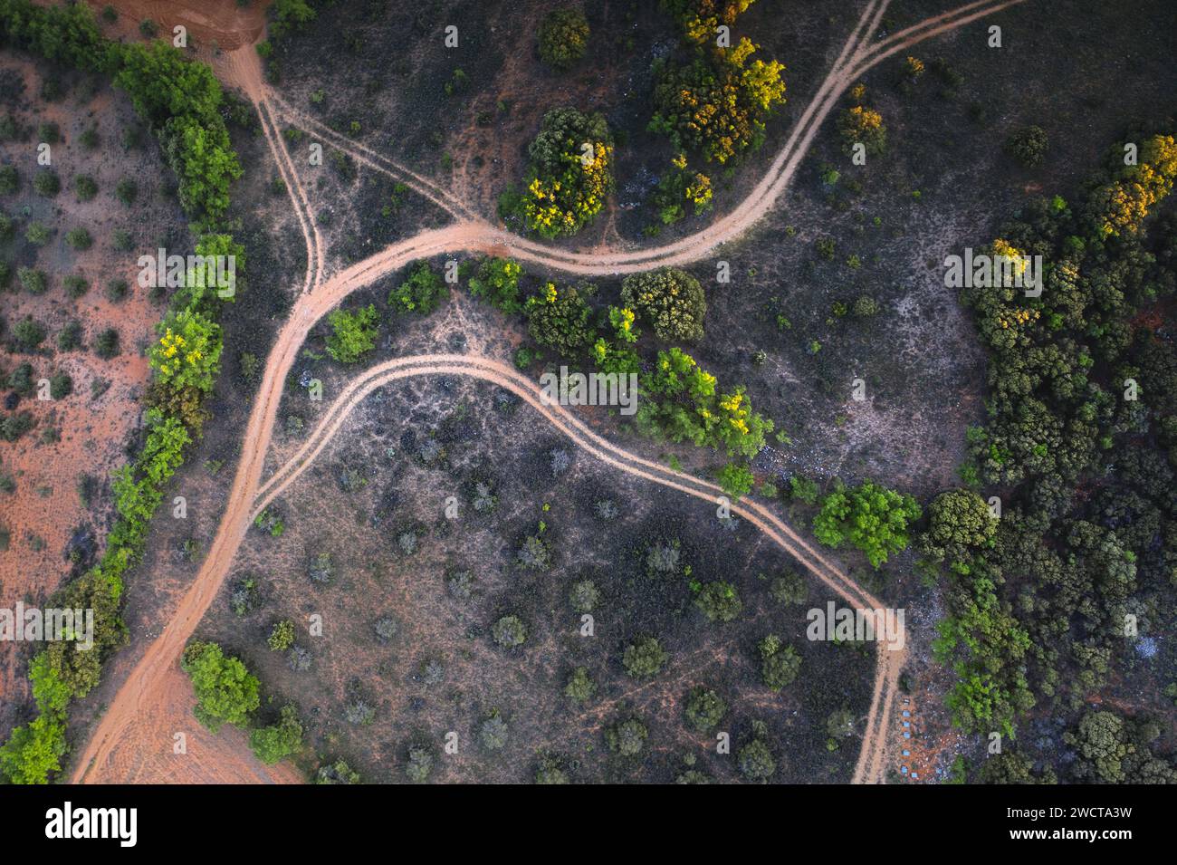 Prospettiva aerea di strade sterrate che si intersecano attraverso il colorato paesaggio autunnale nella regione di Alcarria Foto Stock
