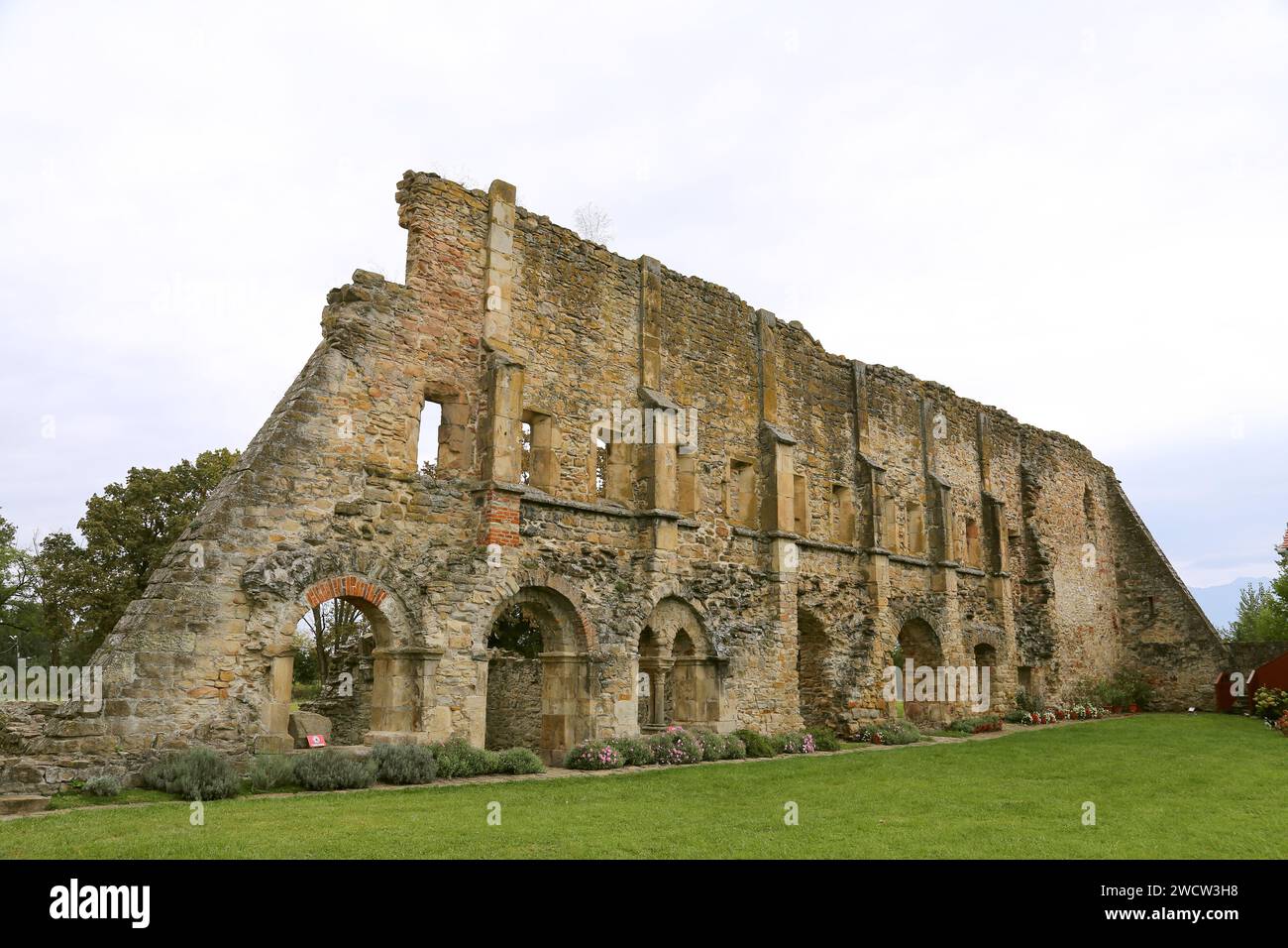 Rovine di Mănăstirea Cârța (Monastero carta), Cârța, Contea di Sibiu, Transilvania, Romania, Europa Foto Stock