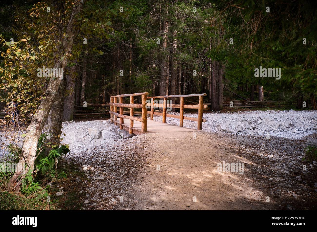 Un piccolo ponte di legno nella fitta foresta verde dell'alto Adige, Italia Foto Stock