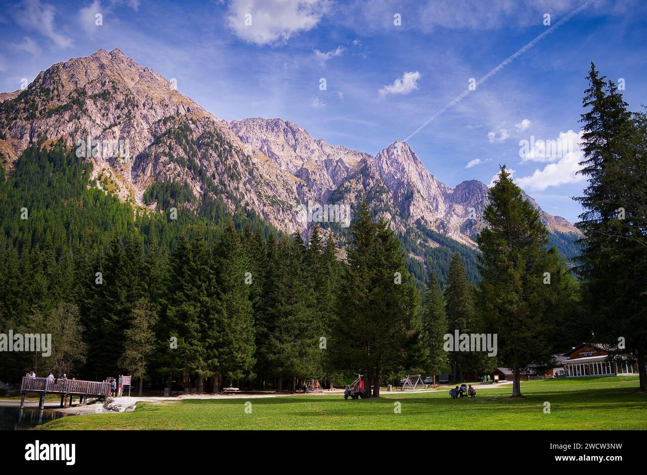 Gli alberi della foresta sulle montagne rocciose vicino al lago di Anterselva in alto Adige, Italia Foto Stock