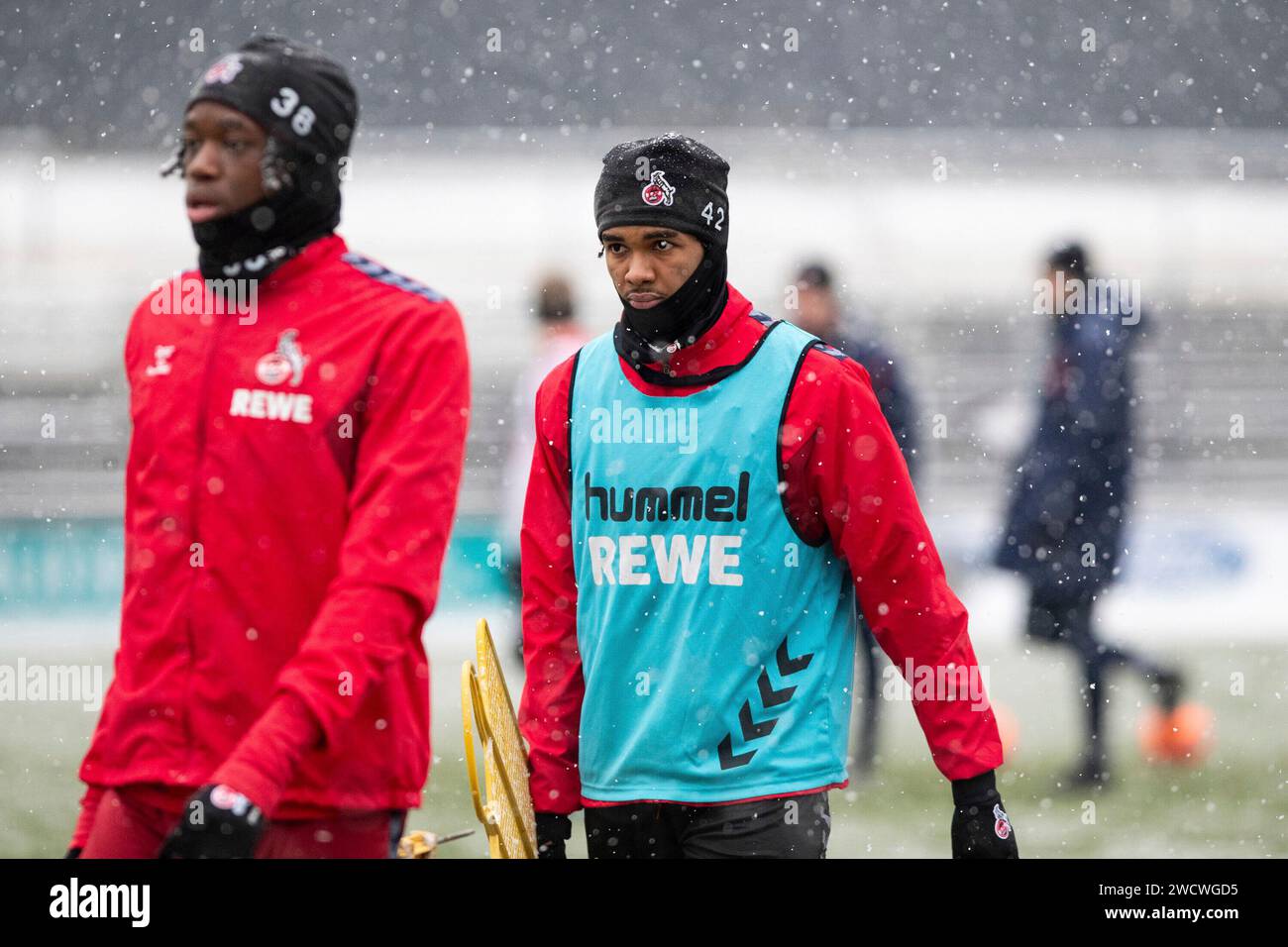 Koeln, Deutschland. 17 gennaio 2024. Damion Downs (1.FC Koeln, 42) 1. FC K?ln, formazione 17.01.2024 credito: dpa/Alamy Live News Foto Stock