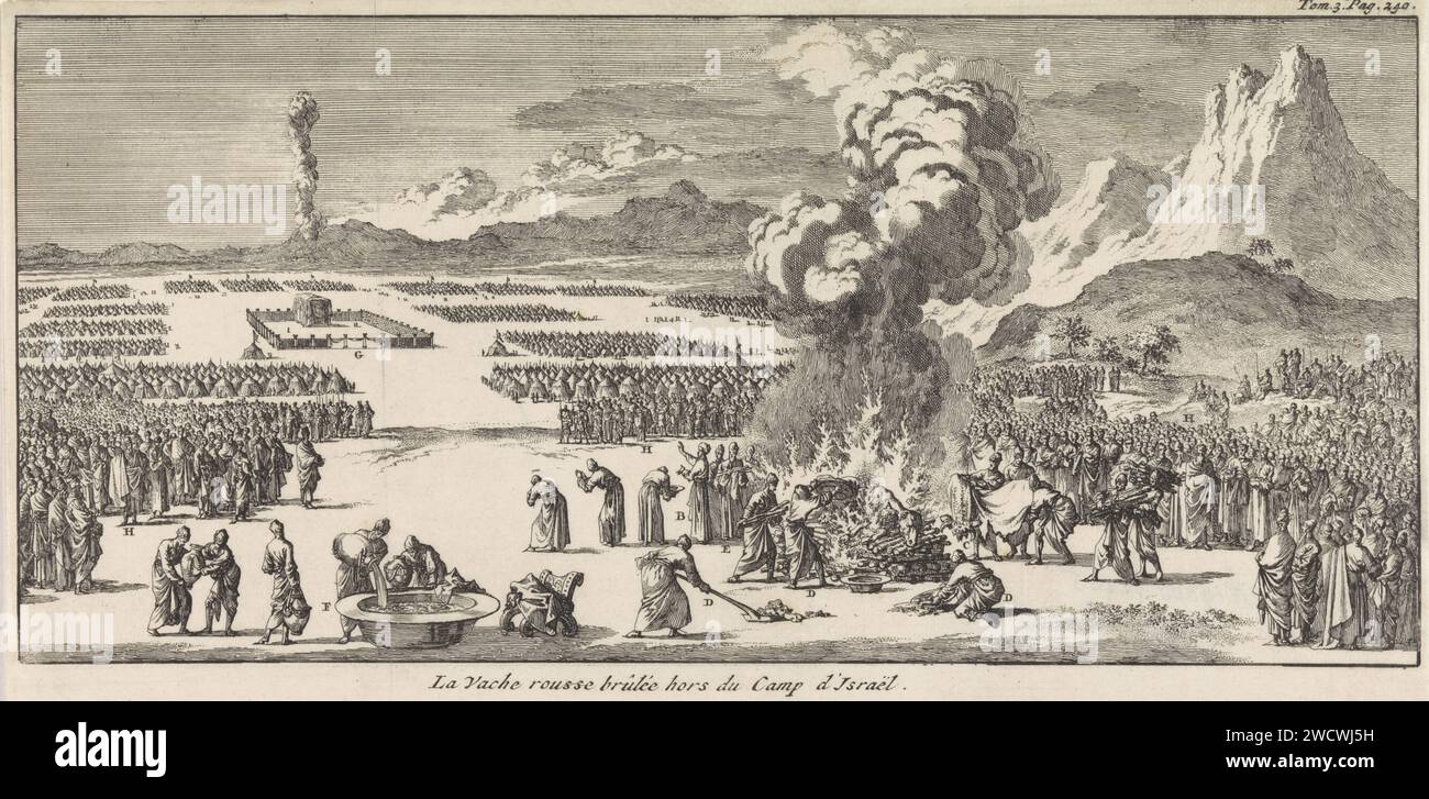 Sacrificio dalla giovane mucca rossa, Jan Luyken, 1705 stampa Amsterdam cartaceo inciso heifer. Sacrificio di animali  religione ebraica Foto Stock