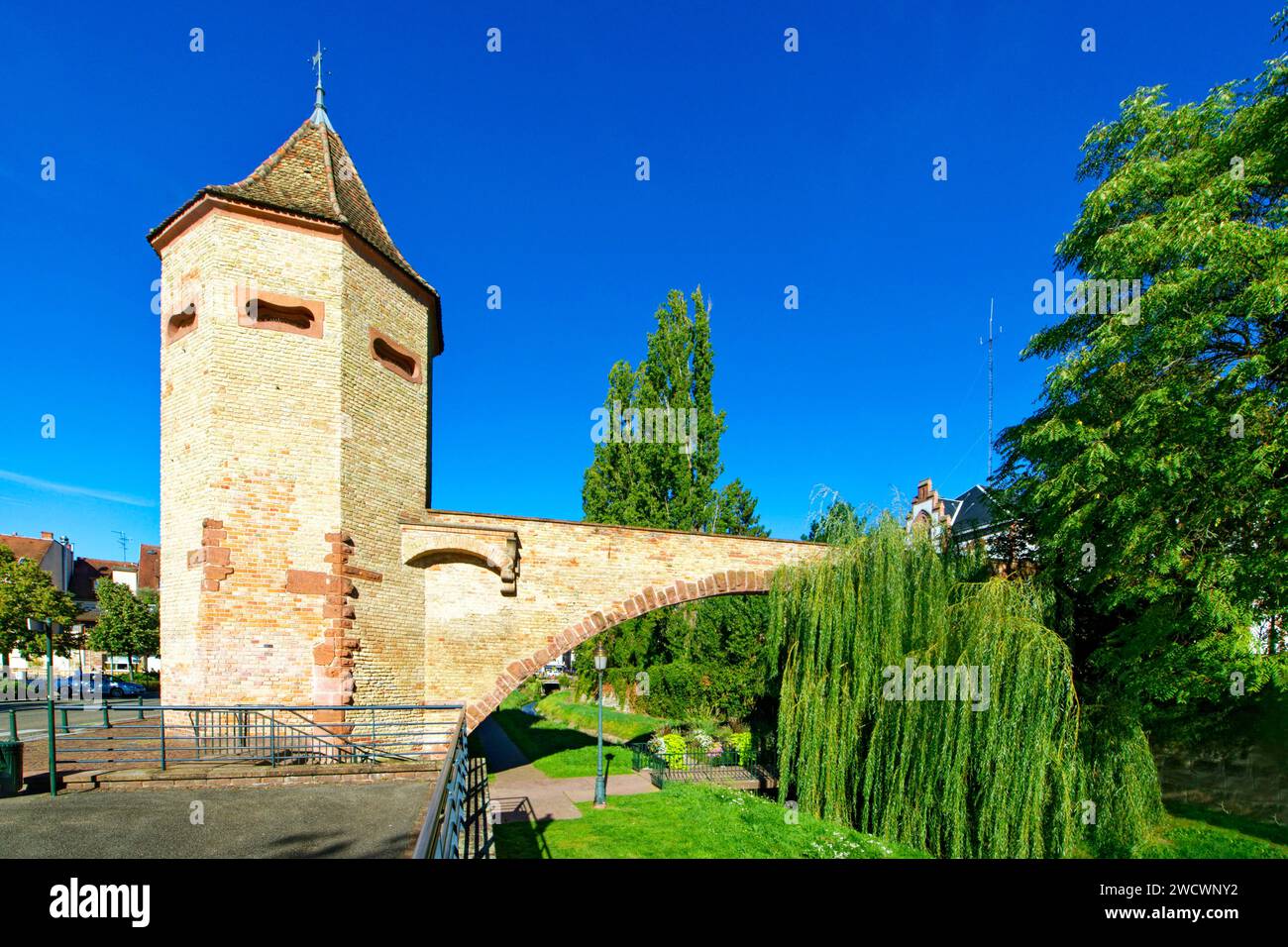 Francia, Bas Rhin, Haguenau, Quai des Pecheurs, Tour des Pecheurs (Torre dei pescatori) datata XIII-XVI secolo su un canale del fiume Moder Foto Stock