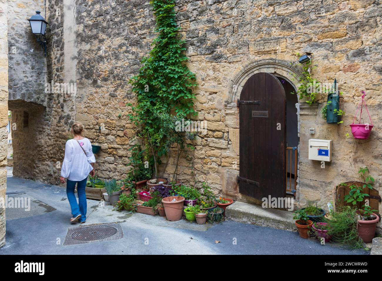 Francia, Vaucluse, Parco naturale regionale del Luberon, Ansouis, etichettato Les Plus Beaux Villages de France, facciata fiorita della casa del villaggio Foto Stock